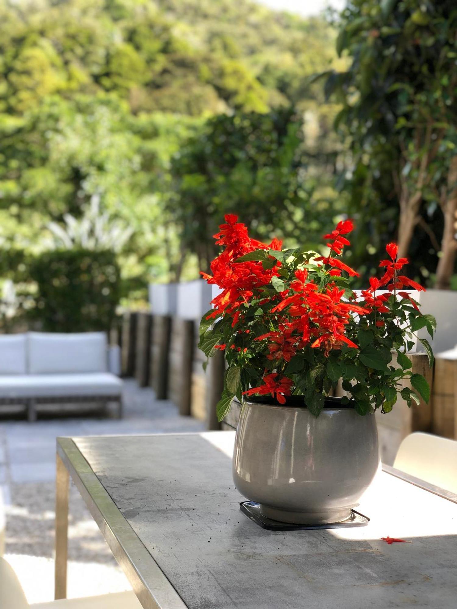 Villetta - Matakana Boutique Luxury Accommodation Exterior photo